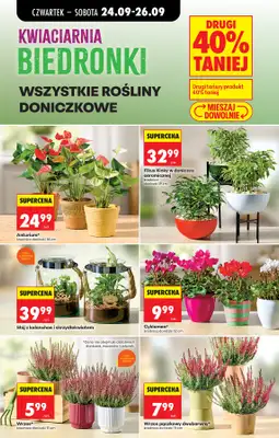Biedronka - gazetka promocyjna Od czwartku od czwartku 24.09 do środy 30.09 - strona 89