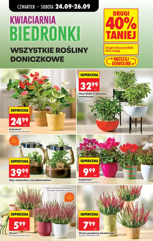 Biedronka - gazetka promocyjna Od czwartku od czwartku 24.09 do środy 30.09 - strona 89
