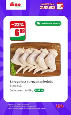 Dino - gazetka promocyjna Specjalna oferta na 24.09.2026 - promocje spoza gazetki od czwartku 24.09 do czwartku 24.09 - strona 4