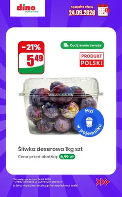 Dino - gazetka promocyjna Specjalna oferta na 24.09.2026 - promocje spoza gazetki od czwartku 24.09 do czwartku 24.09 - strona 2