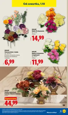 Lidl - gazetka promocyjna Katalog od poniedziałku 28.09 do soboty 03.10 - strona 47