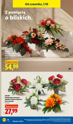 Lidl - gazetka promocyjna Katalog od poniedziałku 28.09 do soboty 03.10 - strona 46