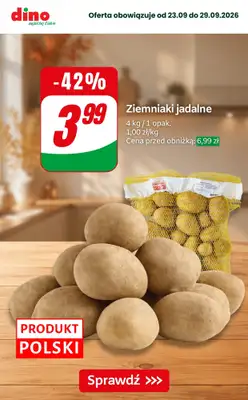 Dino - gazetka promocyjna Nawet do -50% TANIEJ od piątku 25.09 do wtorku 29.09 - strona 4