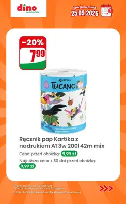 Dino - gazetka promocyjna Specjalna oferta na 25.09.2026 - promocje spoza gazetki od piątku 25.09 do piątku 25.09 - strona 10
