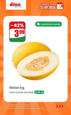 Dino - gazetka promocyjna Specjalna oferta na 25.09.2026 - promocje spoza gazetki od piątku 25.09 do piątku 25.09 - strona 6