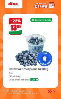 Dino - gazetka promocyjna Specjalna oferta na 25.09.2026 - promocje spoza gazetki od piątku 25.09 do piątku 25.09 - strona 5