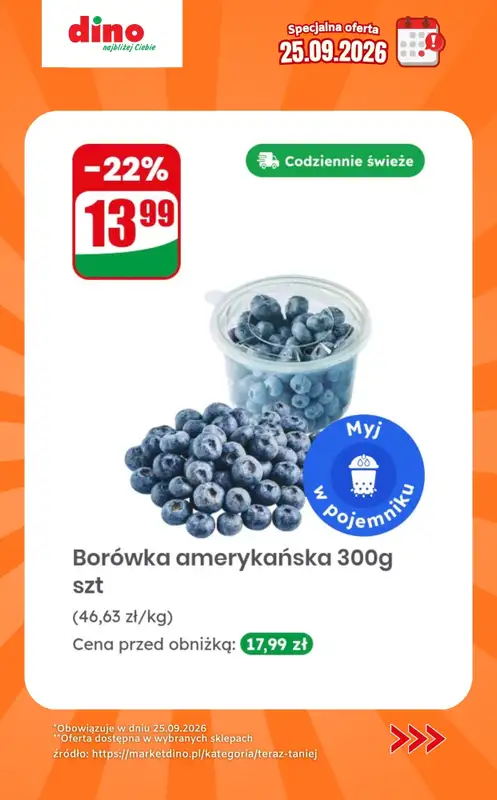 Dino - gazetka promocyjna Specjalna oferta na 25.09.2026 - promocje spoza gazetki od piątku 25.09 do piątku 25.09 - strona 5