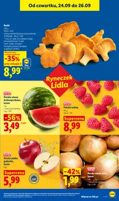 Lidl - gazetka promocyjna Oferta od czwartku od czwartku 24.09 do soboty 26.09 - strona 51