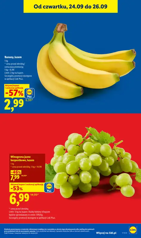Lidl - gazetka promocyjna Oferta od czwartku od czwartku 24.09 do soboty 26.09 - strona 49