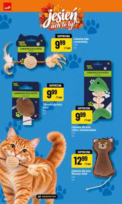 POLOmarket - gazetka promocyjna Katalog jesień ach to ty od piątku 25.09 do czwartku 05.11 - strona 18