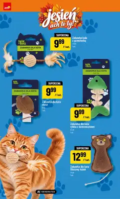 POLOmarket - gazetka promocyjna Katalog jesień ach to ty od piątku 25.09 do czwartku 05.11 - strona 18