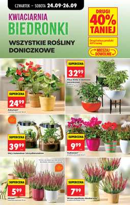 Biedronka - gazetka promocyjna Od czwartku od czwartku 24.09 do środy 30.09 - strona 31