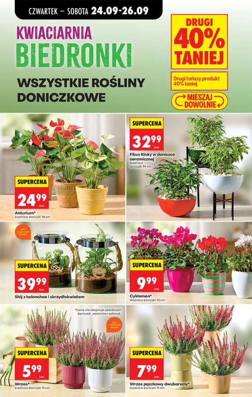 Biedronka - gazetka promocyjna Od czwartku od czwartku 24.09 do środy 30.09 - strona 31