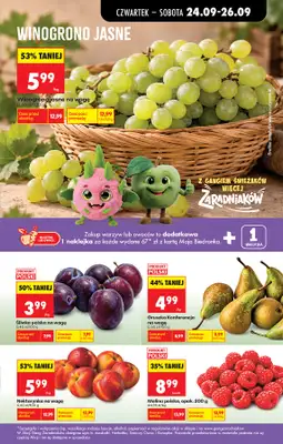 Biedronka - gazetka promocyjna Od czwartku od czwartku 24.09 do środy 30.09 - strona 39