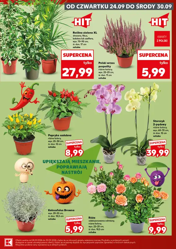 Kaufland - gazetka promocyjna Oferta Kaufland - SUPER SOBOTA od soboty 26.09 do soboty 26.09 - strona 7
