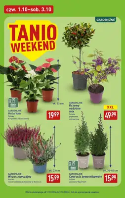 Aldi - gazetka promocyjna Pełny katalog! od poniedziałku 28.09 do soboty 03.10 - strona 42