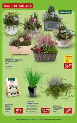 Aldi - gazetka promocyjna Pełny katalog! od poniedziałku 28.09 do soboty 03.10 - strona 43