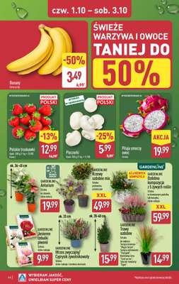 Aldi - gazetka promocyjna Pełny katalog! od poniedziałku 28.09 do soboty 03.10 - strona 44