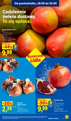 Lidl - gazetka promocyjna Oferta od poniedziałku od poniedziałku 28.09 do środy 30.09 - strona 45