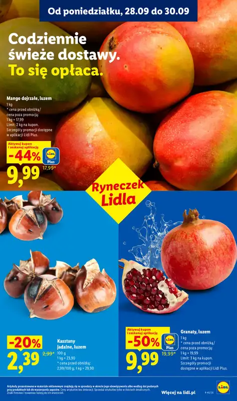 Lidl - gazetka promocyjna Oferta od poniedziałku od poniedziałku 28.09 do środy 30.09 - strona 45