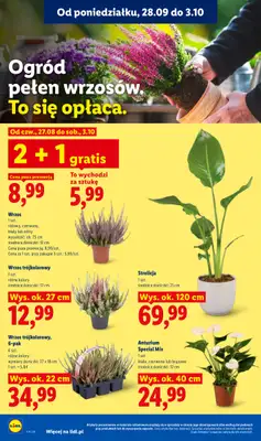 Lidl - gazetka promocyjna Oferta od poniedziałku od poniedziałku 28.09 do środy 30.09 - strona 88