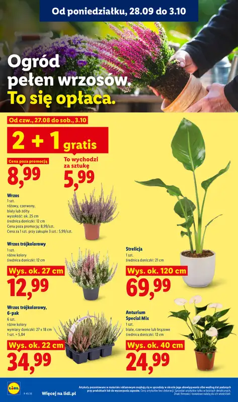 Lidl - gazetka promocyjna Oferta od poniedziałku od poniedziałku 28.09 do środy 30.09 - strona 88