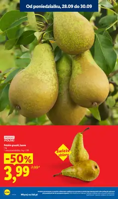 Lidl - gazetka promocyjna Oferta od poniedziałku od poniedziałku 28.09 do środy 30.09 - strona 12