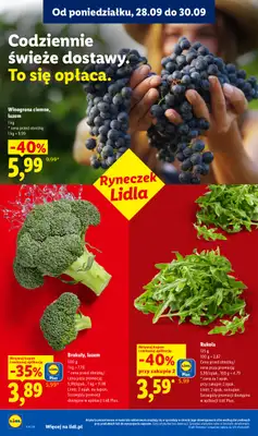 Lidl - gazetka promocyjna Oferta od poniedziałku od poniedziałku 28.09 do środy 30.09 - strona 46