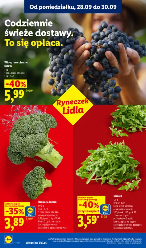 Lidl - gazetka promocyjna Oferta od poniedziałku od poniedziałku 28.09 do środy 30.09 - strona 46