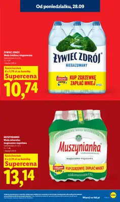 Lidl - gazetka promocyjna Oferta od poniedziałku od poniedziałku 28.09 do środy 30.09 - strona 15