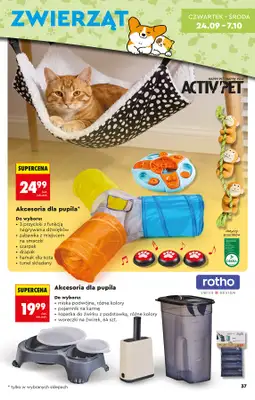 Biedronka - gazetka promocyjna Hity i inspiracje, od 19.09 od soboty 19.09 do środy 07.10 - strona 39