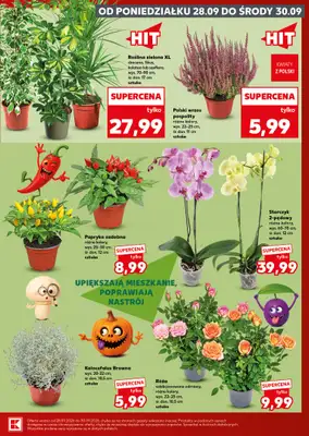 Kaufland - gazetka promocyjna Gazetka Tygodnia od czwartku 24.09 do środy 30.09 - strona 7