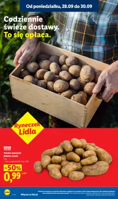 Lidl - gazetka promocyjna Oferta od poniedziałku od poniedziałku 28.09 do środy 30.09 - strona 12