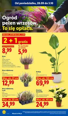 Lidl - gazetka promocyjna Oferta od poniedziałku od poniedziałku 28.09 do środy 30.09 - strona 88