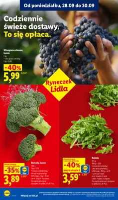 Lidl - gazetka promocyjna Oferta od poniedziałku od poniedziałku 28.09 do środy 30.09 - strona 46