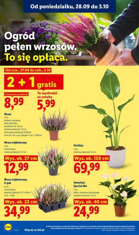 Lidl - gazetka promocyjna Oferta od poniedziałku od poniedziałku 28.09 do środy 30.09 - strona 88