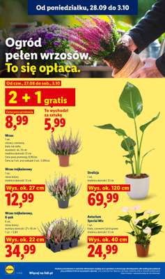 Lidl - gazetka promocyjna Oferta od poniedziałku od poniedziałku 28.09 do środy 30.09 - strona 88
