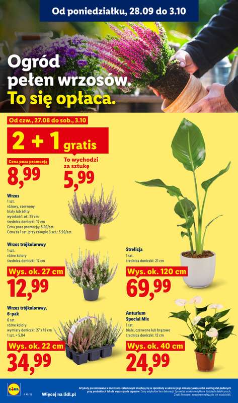Lidl - gazetka promocyjna Oferta od poniedziałku od poniedziałku 28.09 do środy 30.09 - strona 88