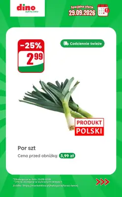 Dino - gazetka promocyjna Specjalna oferta na 29.09.2026 - promocje spoza gazetki od wtorku 29.09 do wtorku 29.09 - strona 10