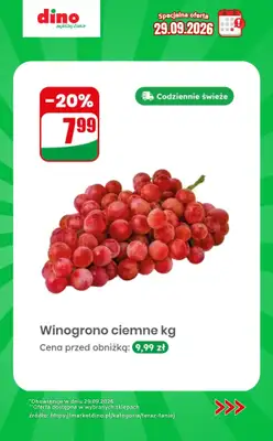 Dino - gazetka promocyjna Specjalna oferta na 29.09.2026 - promocje spoza gazetki od wtorku 29.09 do wtorku 29.09 - strona 2