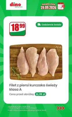 Dino - gazetka promocyjna Specjalna oferta na 29.09.2026 - promocje spoza gazetki od wtorku 29.09 do wtorku 29.09 - strona 6