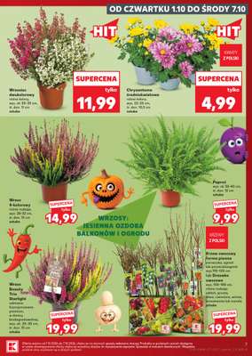 Kaufland - gazetka promocyjna Gazetka Tygodnia od czwartku 01.10 do środy 07.10 - strona 7