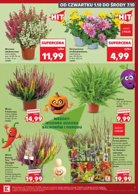 Kaufland - gazetka promocyjna Gazetka Tygodnia od czwartku 01.10 do środy 07.10 - strona 7