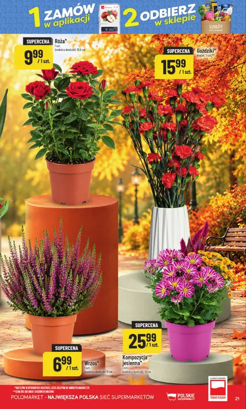 POLOmarket - gazetka promocyjna Frikasowy katalog od środy 30.09 do wtorku 06.10 - strona 21