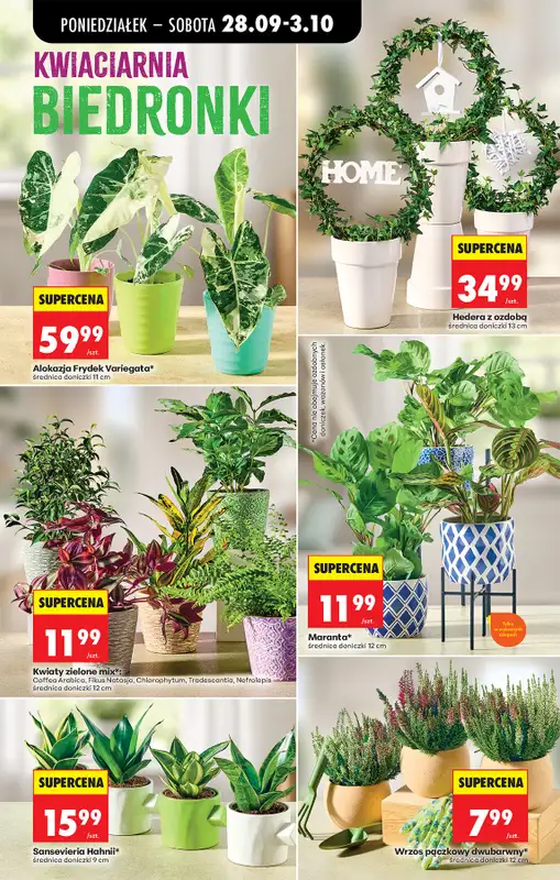 Biedronka - gazetka promocyjna Od poniedziałku, Z ladą tradycyjną od poniedziałku 28.09 do soboty 03.10 - strona 42