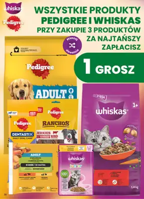 Dino - gazetka promocyjna Gazetka 40 / 2026 od środy 30.09 do wtorku 06.10 - strona 70
