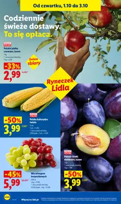 Lidl - gazetka promocyjna Oferta od czwartku od czwartku 01.10 do soboty 03.10 - strona 48