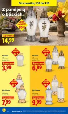 Lidl - gazetka promocyjna Oferta od czwartku od czwartku 01.10 do soboty 03.10 - strona 100