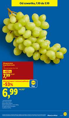 Lidl - gazetka promocyjna Oferta od czwartku od czwartku 01.10 do soboty 03.10 - strona 15