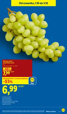 Lidl - gazetka promocyjna Oferta od czwartku od czwartku 01.10 do soboty 03.10 - strona 15